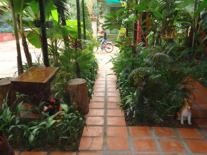 Ladybug Guesthouse Siem Reap Ngoại thất bức ảnh