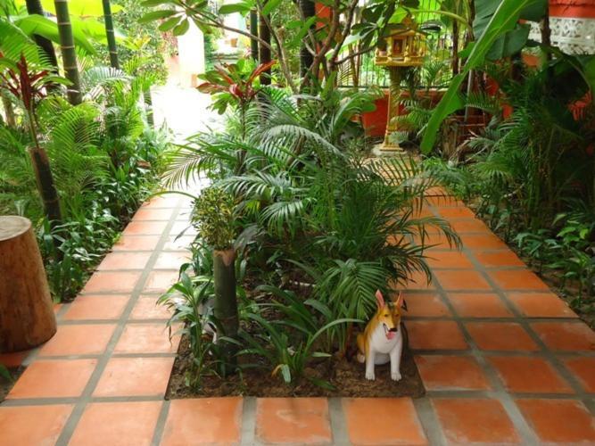 Ladybug Guesthouse Siem Reap Ngoại thất bức ảnh